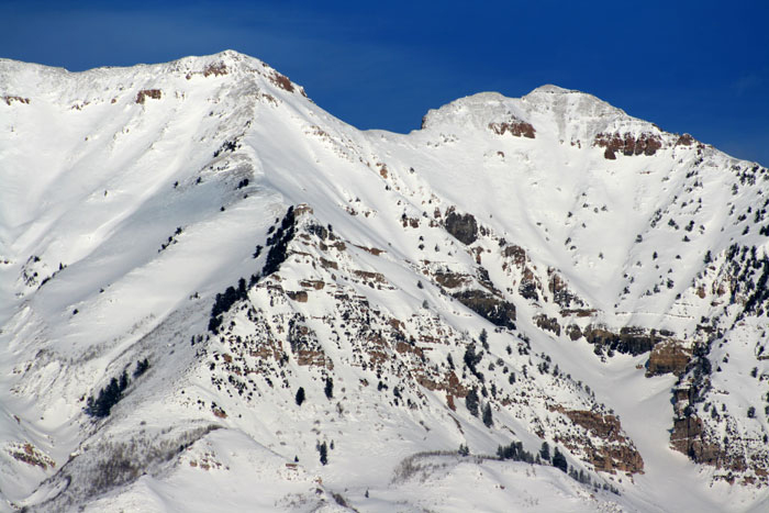 Nature Photography by Nateworks