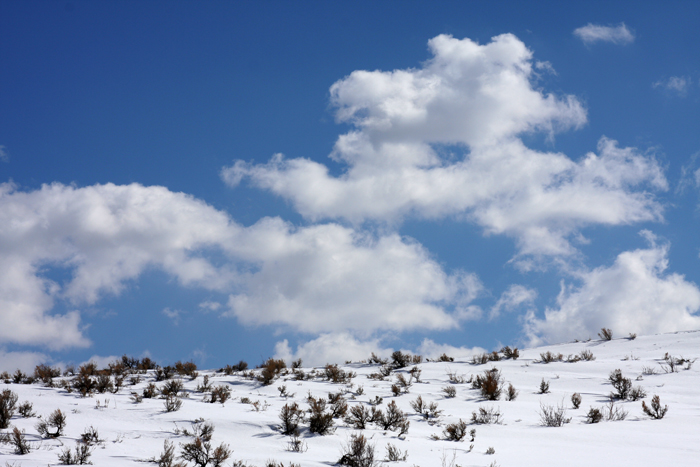 Nature Photography by Nateworks