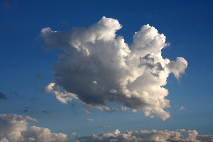 Nature Photography by Nateworks