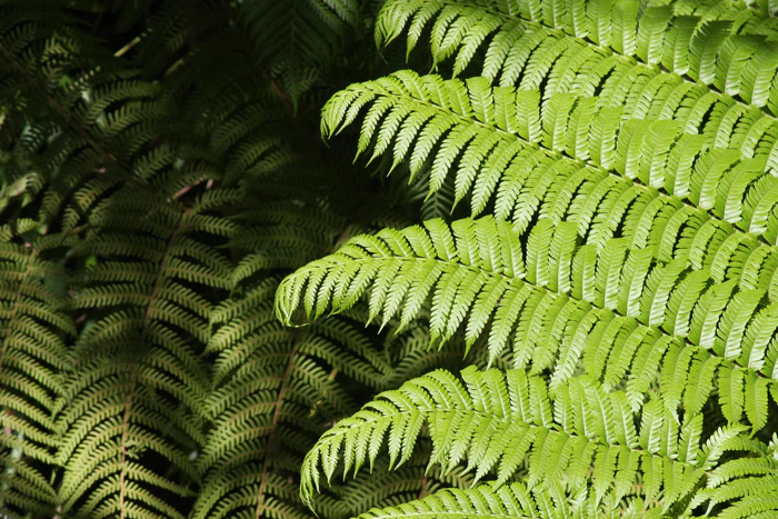 Nature Photography by Nateworks
