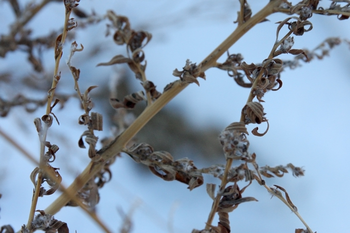 Nature Photography by Nateworks