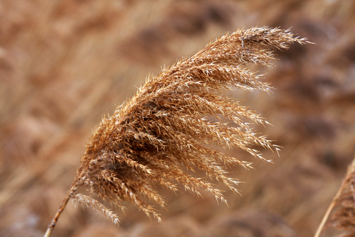 Nature Photography by Nateworks