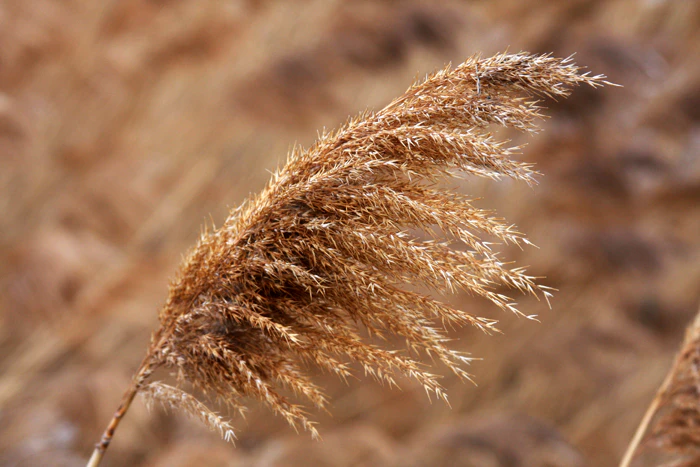 Nature Photography by Nateworks