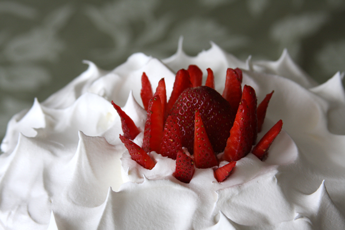 Personal Photography by Nateworks