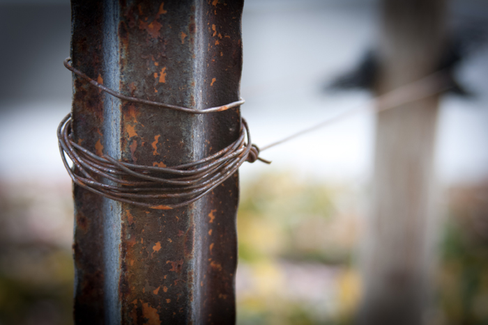 Personal Photography by Nateworks