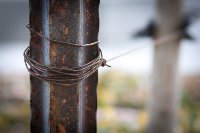 Personal Photography by Nateworks