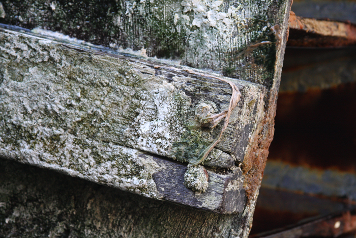 Personal Photography by Nateworks