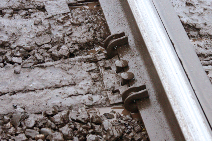 Personal Photography by Nateworks