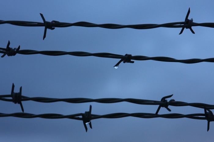 Personal Photography by Nateworks