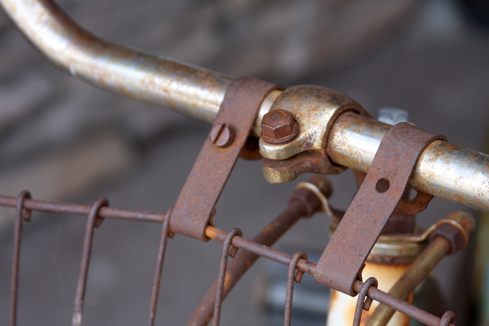 Personal Photography by Nateworks