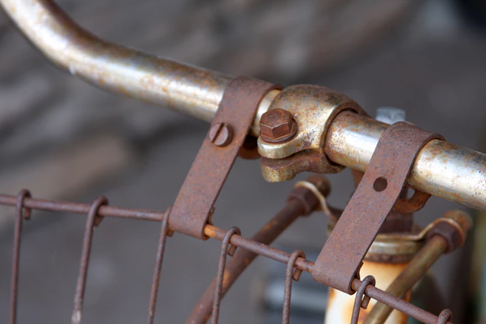 Personal Photography by Nateworks