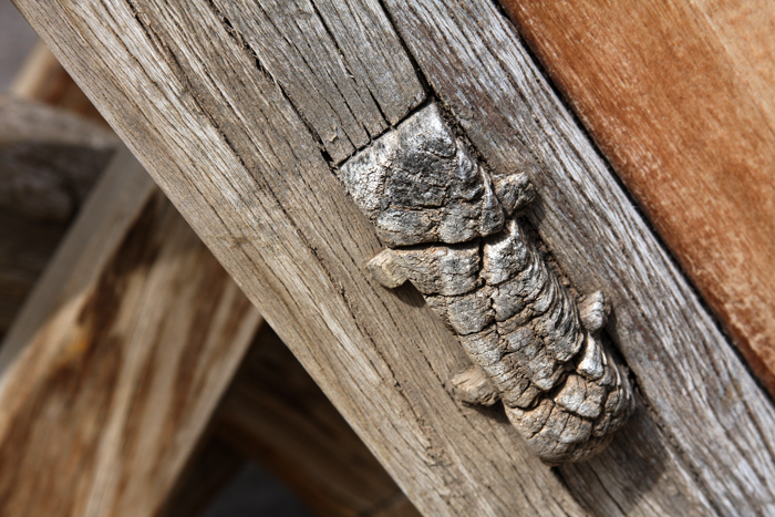 Personal Photography by Nateworks