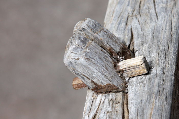 Personal Photography by Nateworks